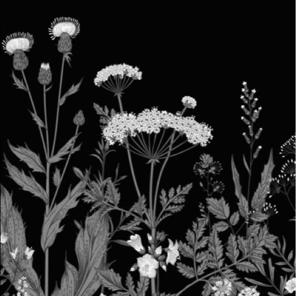 Meet your Posher, Molly - Picture 1 of 1